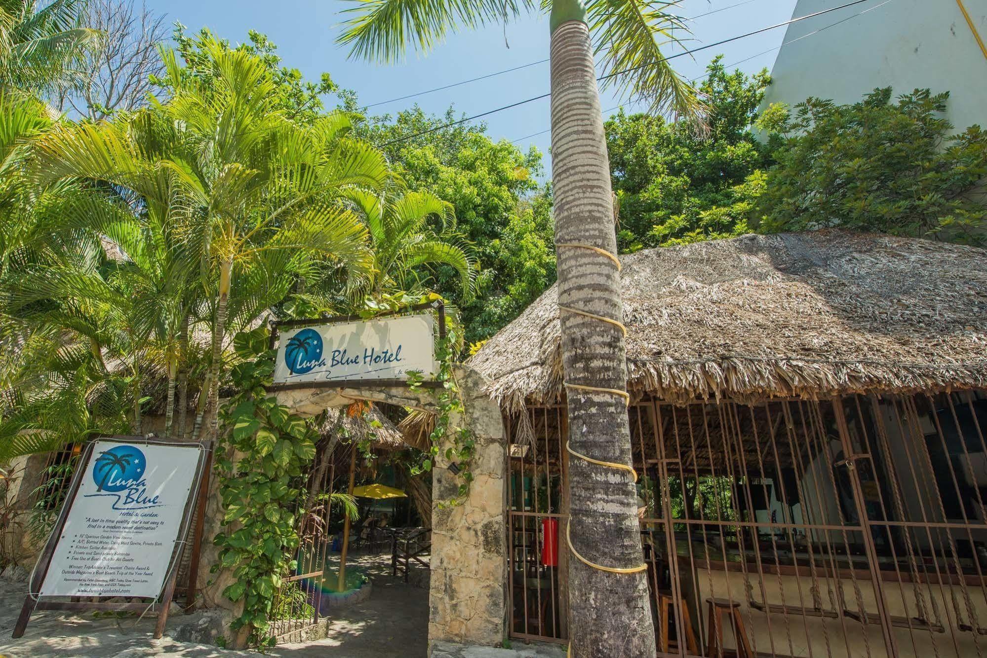 Luna Blue Hotel プレヤデルカーメン エクステリア 写真